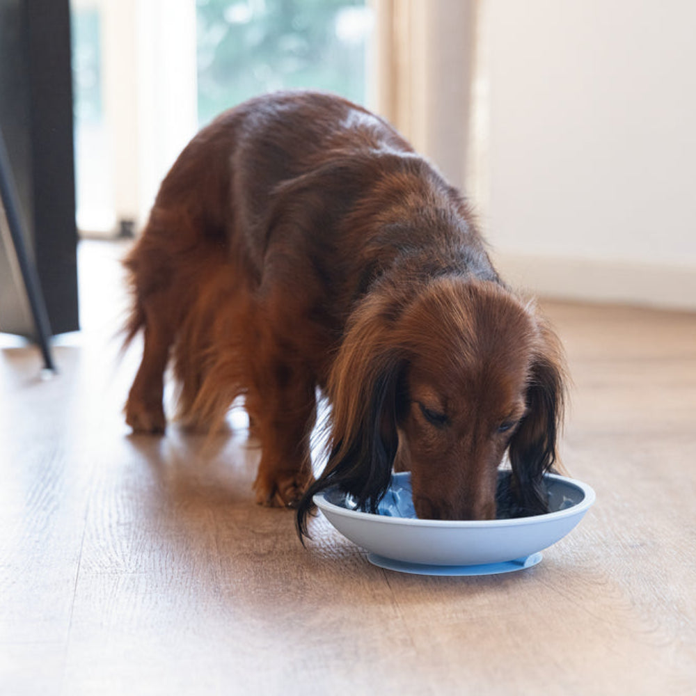 Lick mat piatto Beeztees