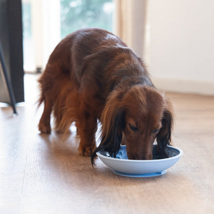 Lick mat piatto Beeztees