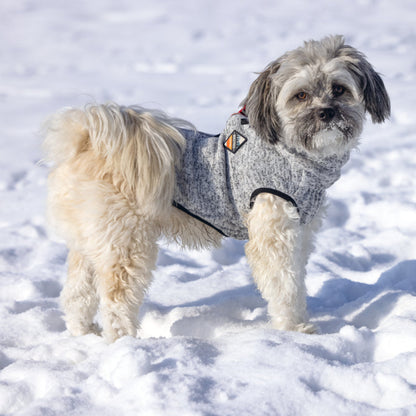 Maglioncino per cani Celia Beeztees