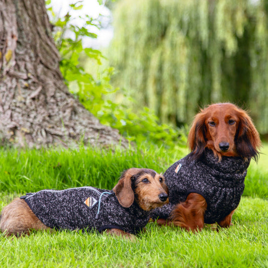 Maglioncino per cani Celia Beeztees