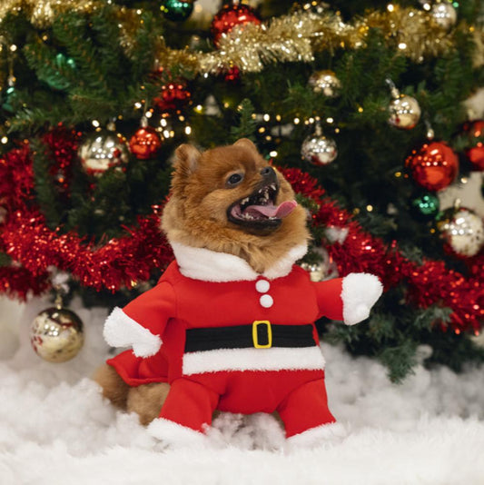 Vestito di Babbo Natale per cani Beeztees