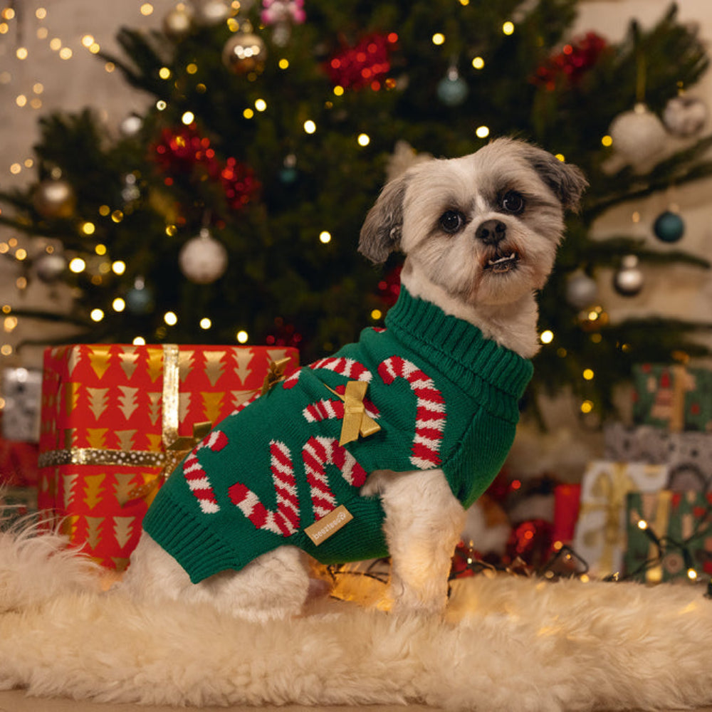 Maglioncino natalizio per cani Candycane Beeztees