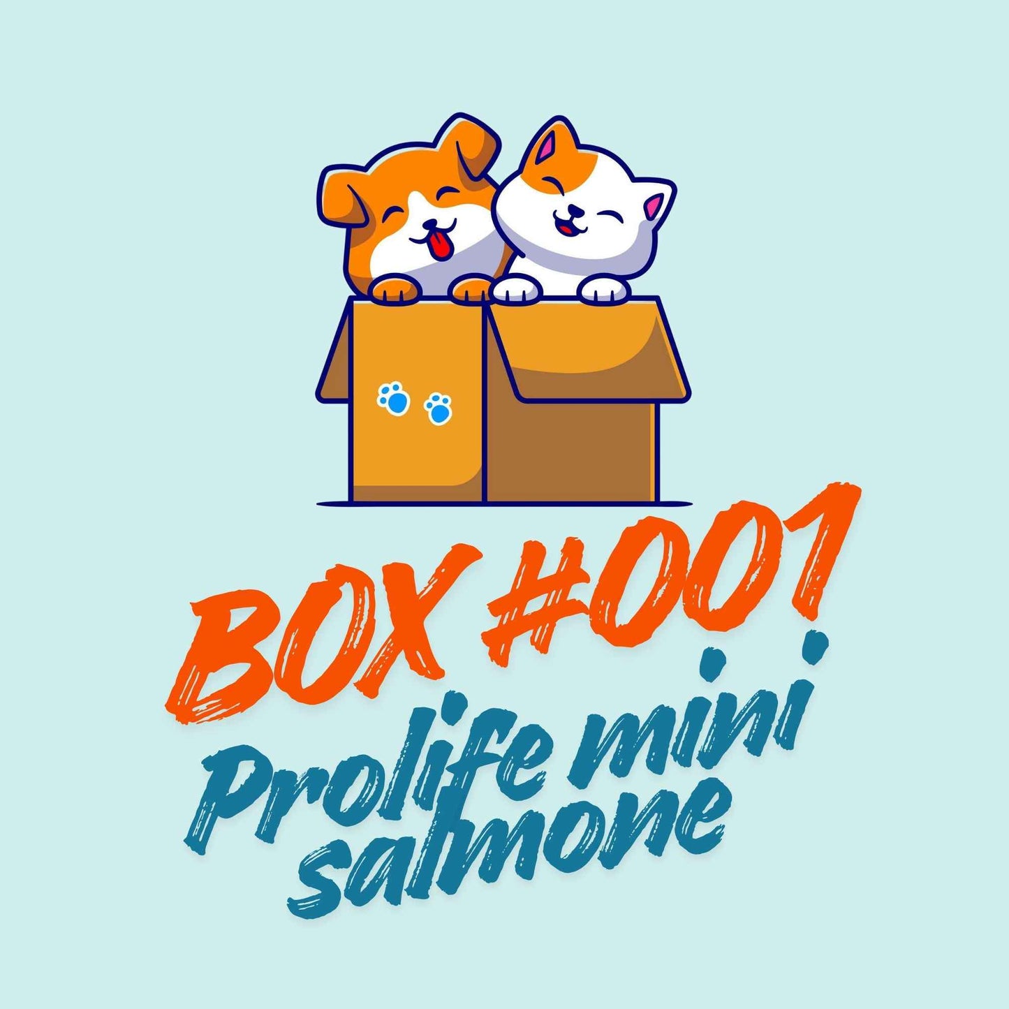 Box #001 Prolife Mini Salmone