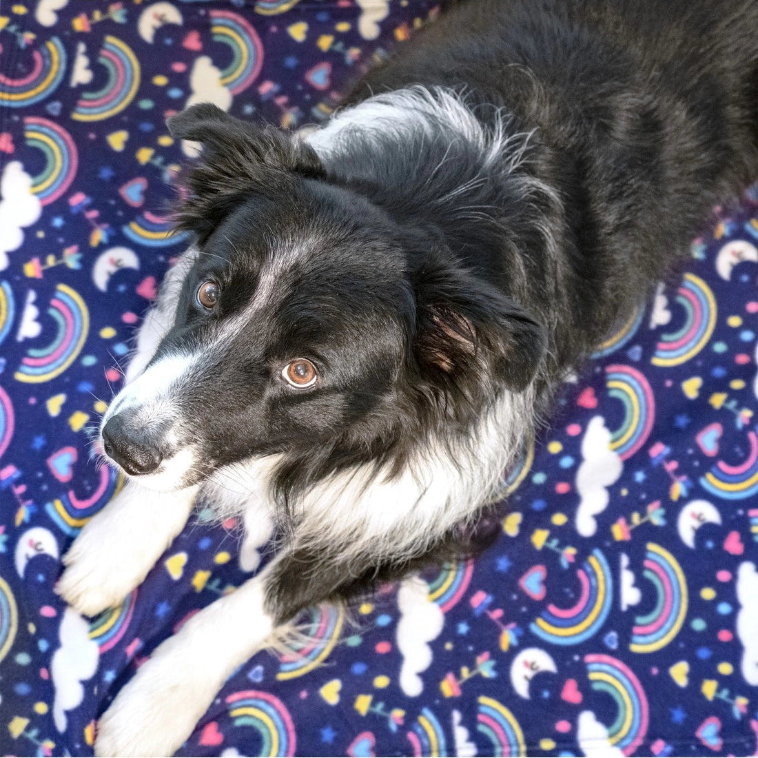 Coperta per cani in pile