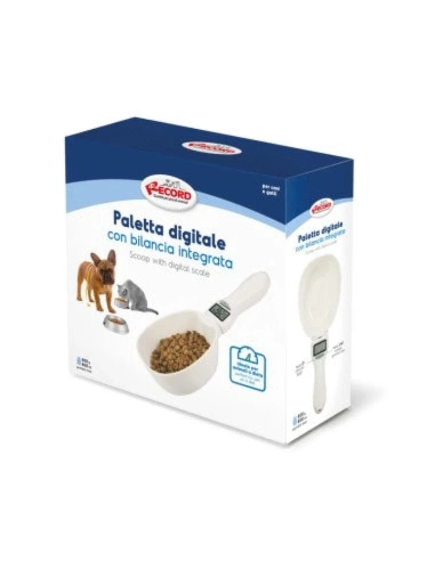 scatola paletta digitale