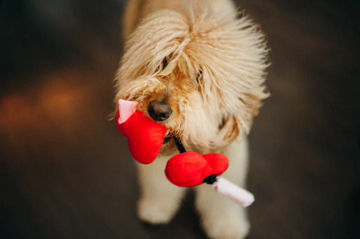 Gioco per cani Love Collection