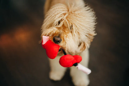 Gioco per cani Love Collection