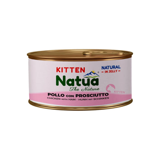 Cibo umido per gatti cuccioli Jelly Cat Kitten