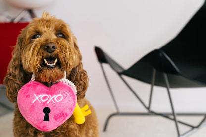 Gioco per cani Love Collection