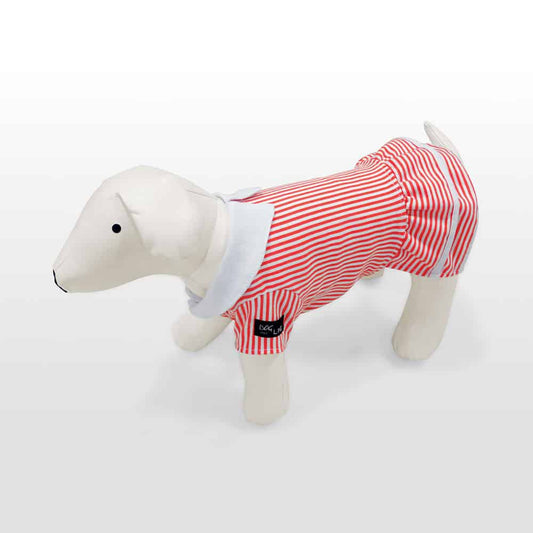 Abito per cani Delphi - petsandthecity-9478abito