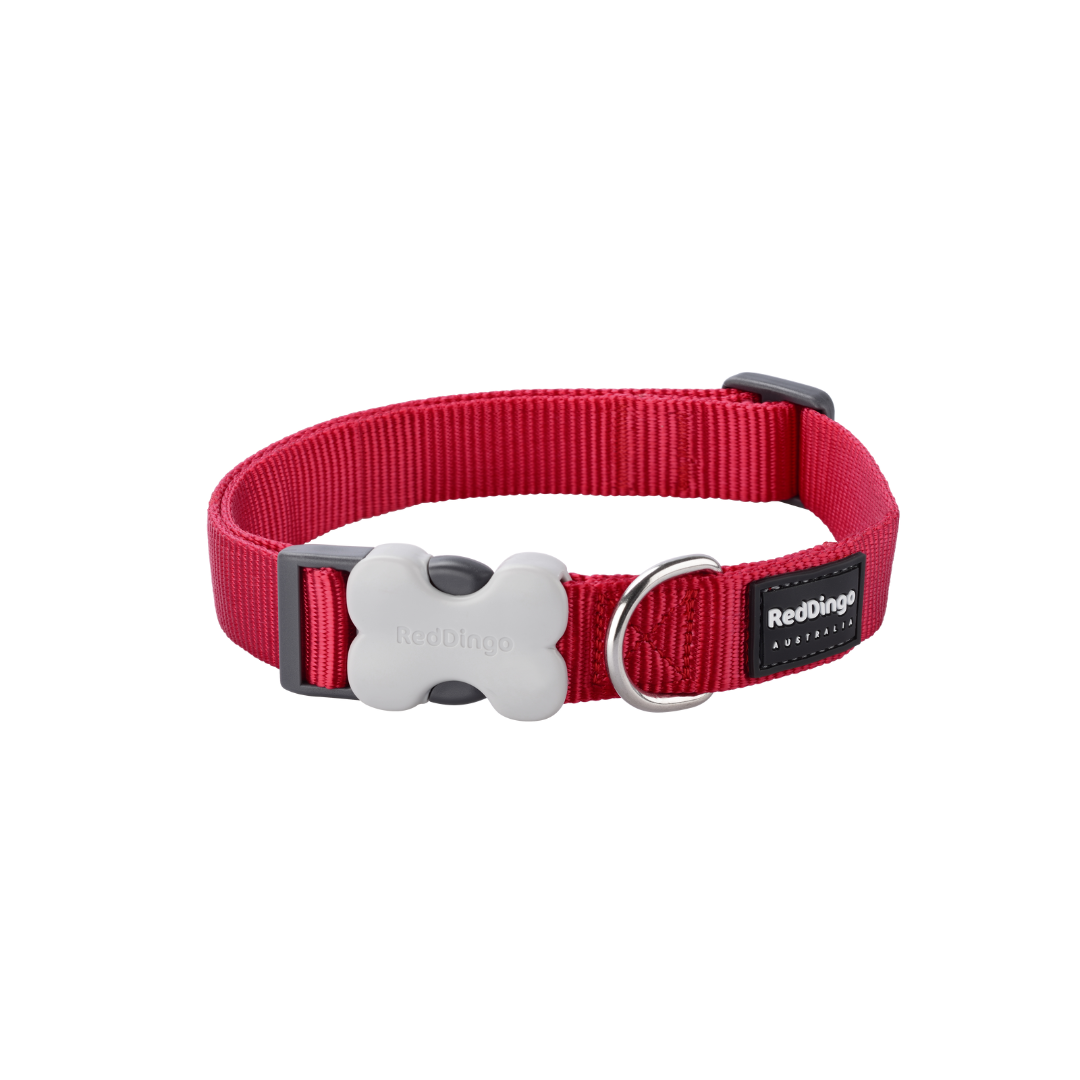 Collare per cani Classic Red-dingo - petsandthecity-9478collare