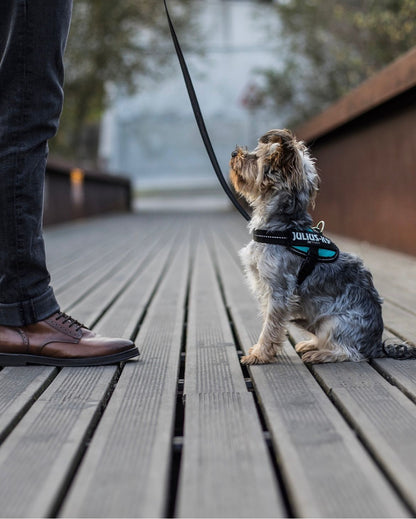 Pettorina per cani Julius-K9 IDC Powerharness® Light blue