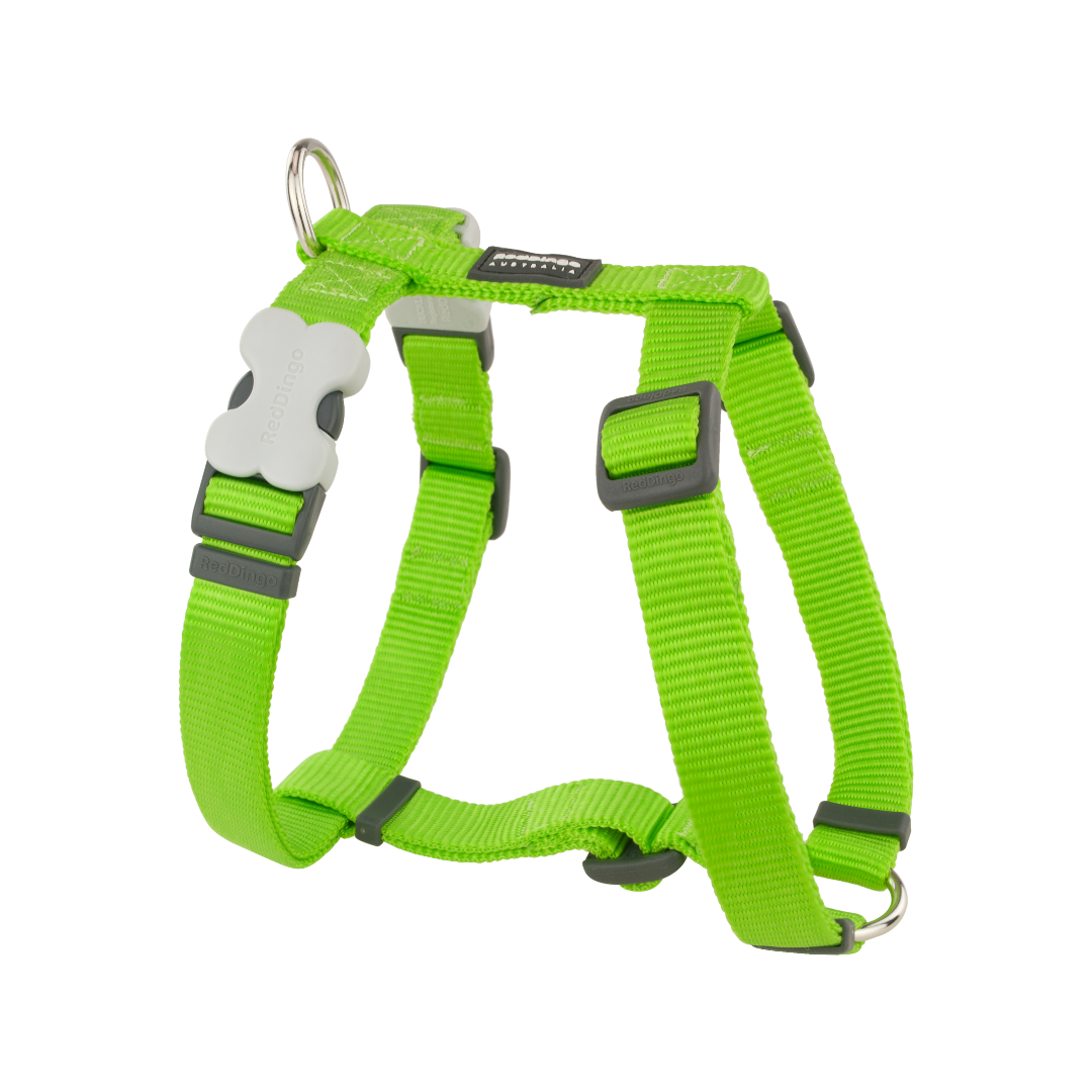 Pettorina per cani Classic Red-dingo