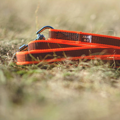 Guinzaglio per cani Color & Gray Julius-K9