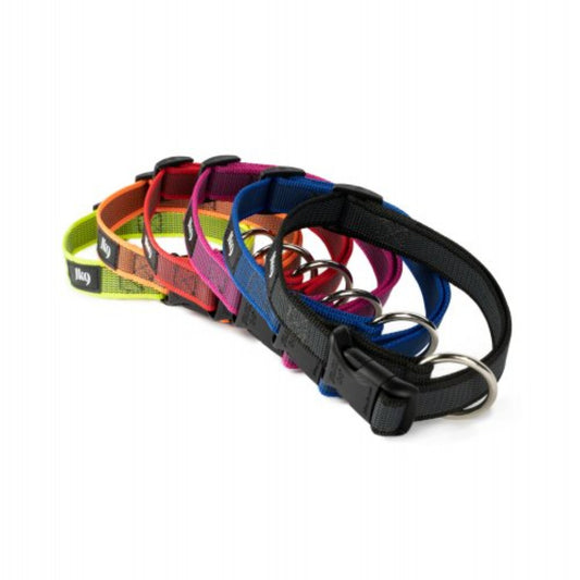 Collare per cani Color & Gray Julius-K9